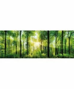 Deco Block SONNENSTRAHLEN IM WALD - Grün - 40x118 Cm