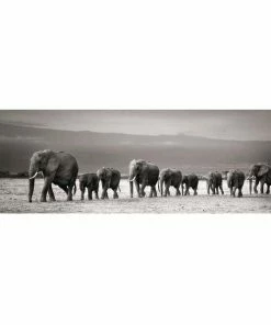 Deco Block ELEFANTENHERDE - Schwarz-weiß - 40x118 Cm