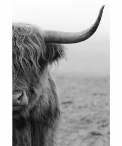 Deco Panel HIGHLANDER - 60x90 Cm