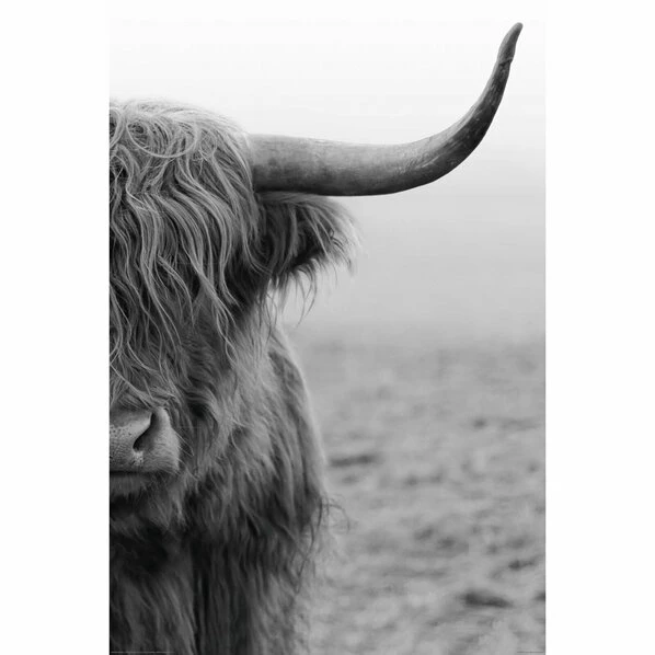 Deco Panel HIGHLANDER - 60x90 Cm