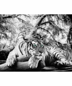 Deco Panel TIGER IS WATCHING YOU - 60x90 Cm