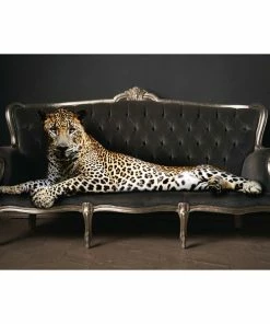 Deco Panel LEOPARD AUF SOFA - 60x90 Cm
