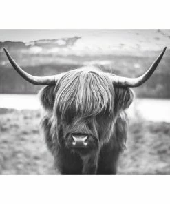 Deco Panel HIGHLANDER - 60x90 Cm