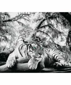 Deco Panel - TIGER IS WATCHING YOU - 60x90 Cm