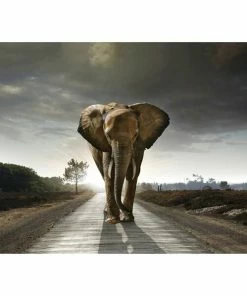 Deco Panel ELEFANT - 100x140 Cm