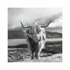 Gerahmtes Bild HIGHLAND COW - Schwarz-weiß - 50x50 Cm
