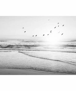 Gerahmtes Bild BEACH SERENITY S/W - 50x70 Cm