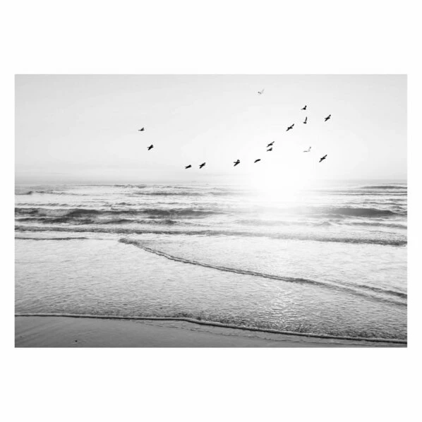 Gerahmtes Bild BEACH SERENITY S/W - 50x70 Cm 1 Gerahmtes Bild BEACH SERENITY S/W - 50x70 Cm