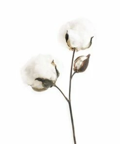 Gerahmtes Bild DOTS OF COTTON - 20x30 Cm