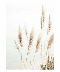 Gerahmtes Bild DUNE GRASS - 30x40 Cm