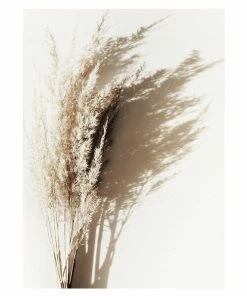 Gerahmtes Bild SUNNY GRASS BOUQUET - 30x40 Cm