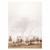 Gerahmtes Bild SCHAFE - 30x40 Cm
