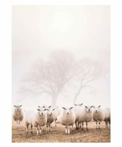 Gerahmtes Bild SCHAFE - 30x40 Cm