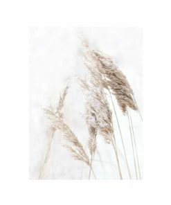 Gerahmtes Bild BREEZE GRASS - 40x50 Cm
