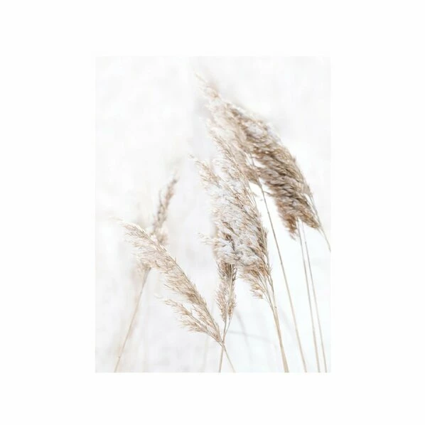 Gerahmtes Bild BREEZE GRASS - 40x50 Cm