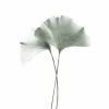 Gerahmtes Bild GINGKO - 40x50 Cm