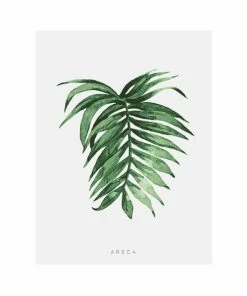 Gerahmtes Bild ARECA LEAF - 40x50 Cm