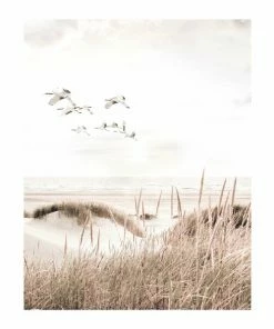 Gerahmtes Bild BOTANICAL BEACH - 40x50 Cm