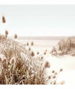 Gerahmtes Bild DUNE BEACH - 50x50 Cm