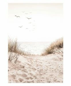 Gerahmtes Bild DUNEPATH - 50x70 Cm