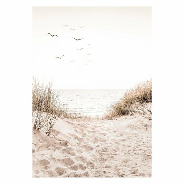 Gerahmtes Bild DUNEPATH - 50x70 Cm