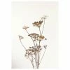 Gerahmtes Bild FASHION FLOWER - 50x70 Cm