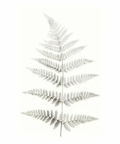 Gerahmtes Bild SLIM LEAF - 50x70 Cm