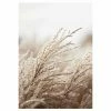 Gerahmtes Bild FIELD GRASS - 50x70 Cm