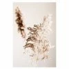 Gerahmtes Bild SHADOW GRASS - 50x70 Cm