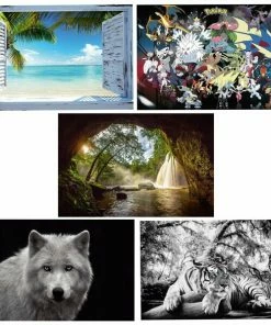 Maxiposter - Verschiedene Motive - Sortiert