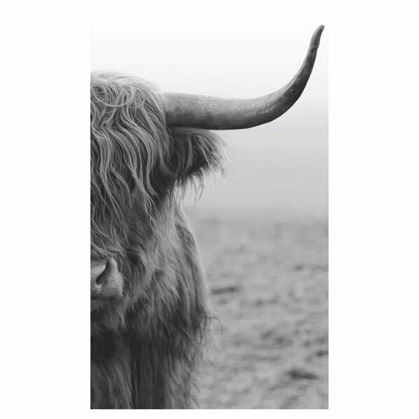 Gerahmtes Bild HIGHLANDER - Schwarz-weiß - 70x118 Cm