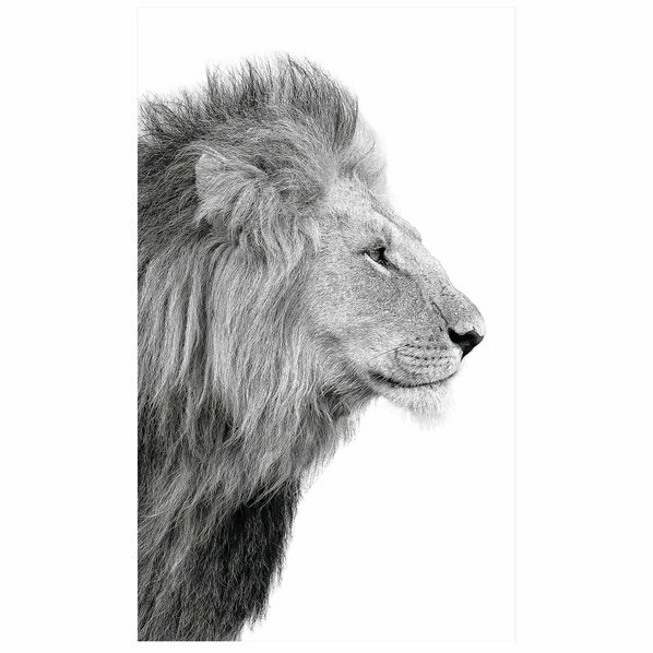 Gerahmtes Bild LIONS HEAD - Schwrz-weiß - 70x118 Cm