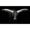 Gerahmtes Bild BIG HORNS - 50x118 Cm