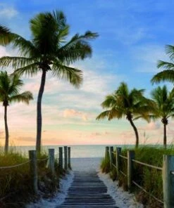 Keilrahmen - Palmen - 50x100 Cm