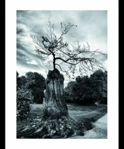 Wandbild - Schwarz-weiß - Gerahmt - 50x70 Cm