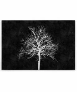Leinwandbild BAUM - Schwarz-weiß - 90 X 60 Cm