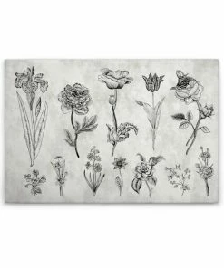 Leinwandbild BLUMEN - Grau-schwarz - 90 X 60 Cm