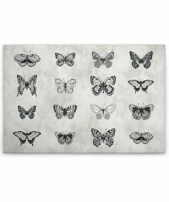 Leinwandbild SCHMETTERLINGE - Grau-schwarz - 90 X 60 Cm