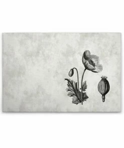 Leinwandbild BLUME - Grau - 90 X 60 Cm