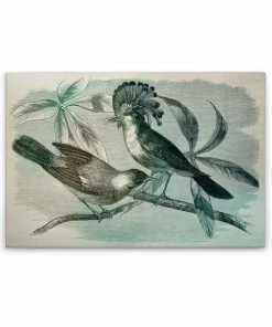 Leinwandbild VOGEL IM VINTAGESTIL - Grün-blau - 90 X 60 Cm