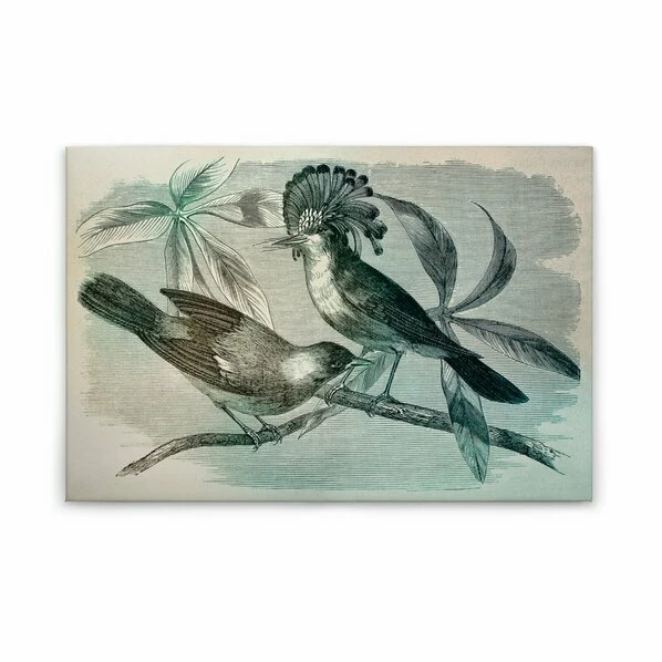 Leinwandbild VOGEL IM VINTAGESTIL - Grün-blau - 90 X 60 Cm