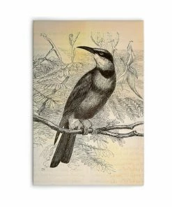 Leinwandbild VOGEL IM VINTAGESTIL - Gelb-schwarz - 60 X 90 Cm