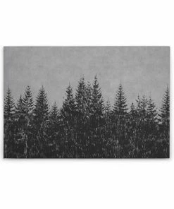 Leinwandbild SCHWARZWALD - Grau-schwarz - 90 X 60 Cm