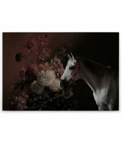 Leinwandbild PFERD - Schwarz-rot - 90 X 60 Cm