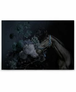 Leinwandbild PFERD - Schwarz-blau - 90 X 60 Cm