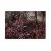 Leinwandbild DSCHUNGEL - Rot-pink - 90 X 60 Cm