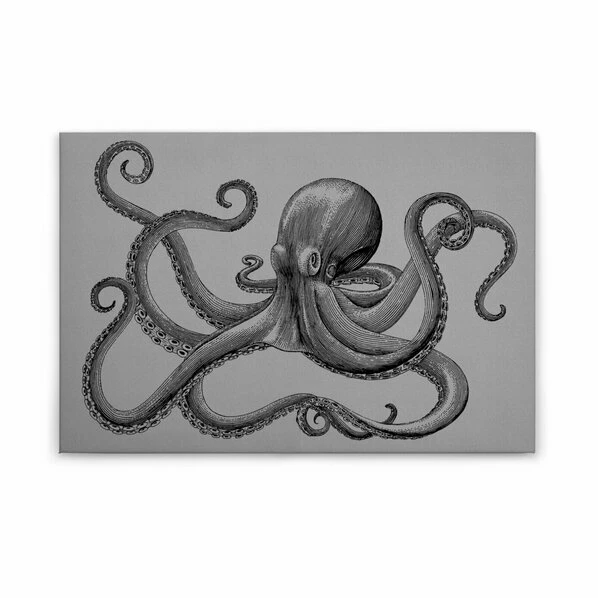 Leinwandbild KRAKE - Grau-schwarz - 90 X 60 Cm