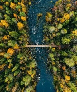 Leinwandbild HERBSTLANDSCHAFT - Grün - 70 X 50 Cm