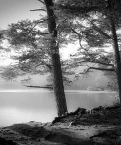 Leinwandbild SEE - Weiß-schwarz - 70 X 50 Cm