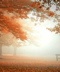 Leinwandbild WALD IM NEBEL - Braun-orange - 70 X 50 Cm